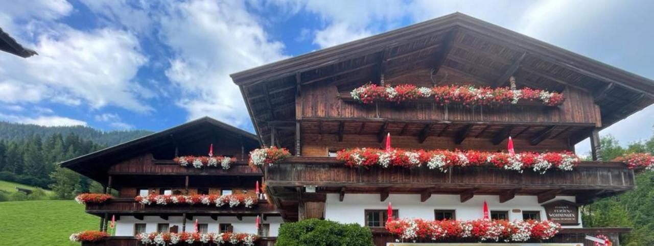 Appartements Zellner Alpbach Ngoại thất bức ảnh