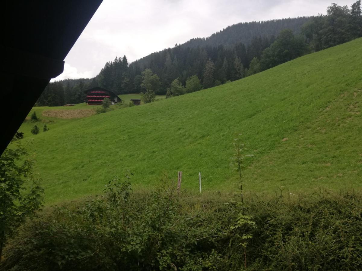 Appartements Zellner Alpbach Ngoại thất bức ảnh