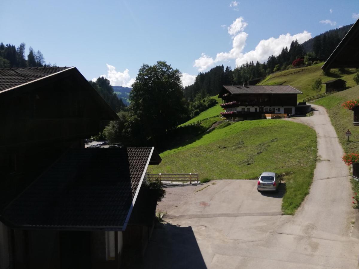 Appartements Zellner Alpbach Ngoại thất bức ảnh